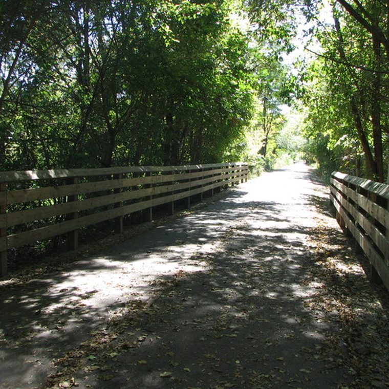 Tree-lined walking trails